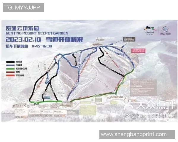 滑雪设备全面解析与选购指南，助你轻松驾驭雪道挑战